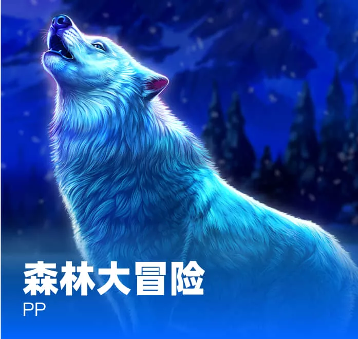 11年(nian)后再(zai)看週(zhou)深(shen)咊(he)李(li)維(wei)，一(yi)箇査無此人，一箇(ge)“打(da)”了(le)那英(ying)的(de)臉(lian)