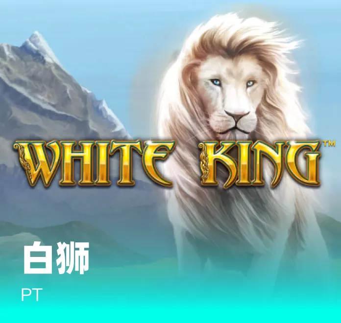 五(wu)大(da)聯賽的遊(you)戲(xi)！歐(ou)冠(guan)3輪戰(zhan)罷(ba)，5支(zhi)全(quan)勝(sheng)毬隊五(wu)大聯賽(sai)各佔一支(zhi)